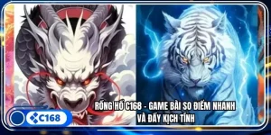 Rồng hổ
