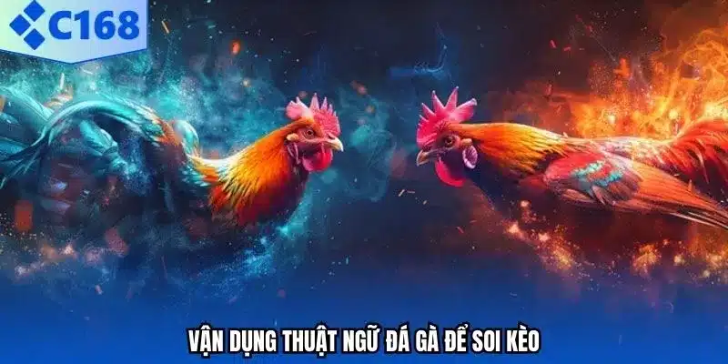 Vận dụng thuật ngữ đá gà để soi kèo.